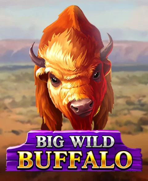 Play Big Wild Buffalo at Spin Rider Casino